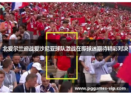 北爱尔兰迎战爱沙尼亚球队激战在即球迷期待精彩对决